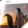 Cover Ausgabe 5/Herbst 2018